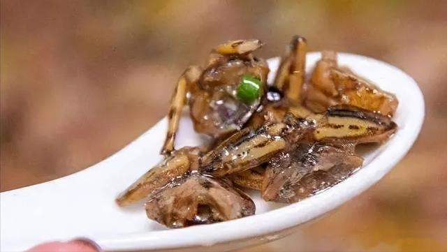 “水中霸王”水知了：连毒蛇都是它的家常菜，口感却比螃蟹还鲜美