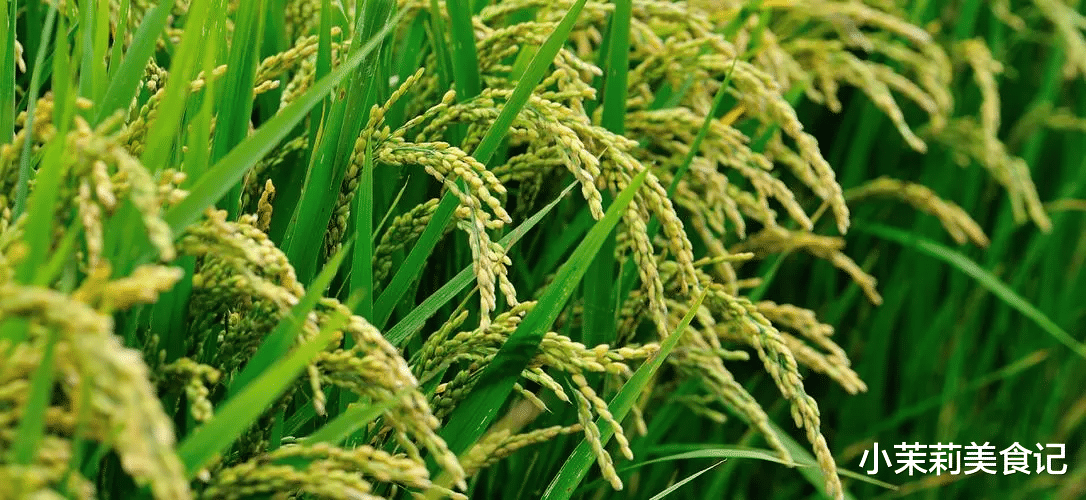 今年立秋不一般，老人说“青龙无春年，5人要躲秋”，指哪5人？咋躲？明日立秋，老传统要重视