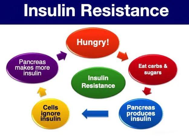 减肥中“少吃多动”是很糟糕的减肥建议