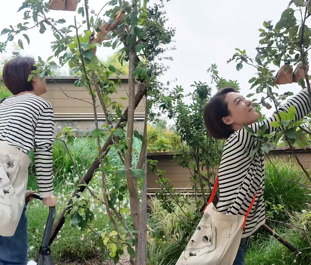 42岁车晓素颜照曝光！脸部僵硬，鼻孔外翻，鼻子一动不动好诡异！