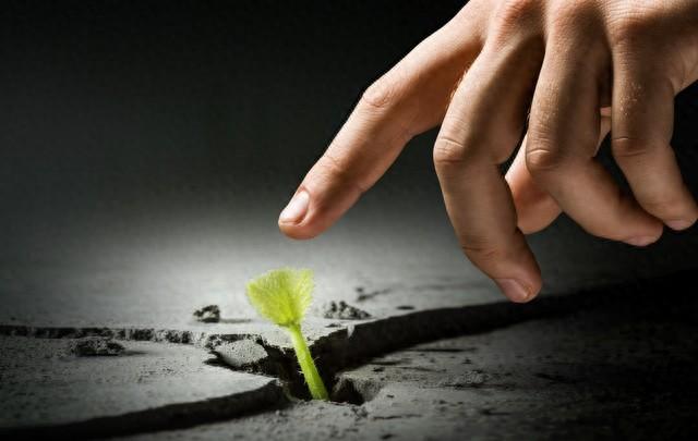 女人常揉腹部,美容又保健,2个按摩要领要掌握