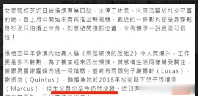 现在才明白,为何张柏芝总与王菲暗自较劲,原来放不下的从不是她