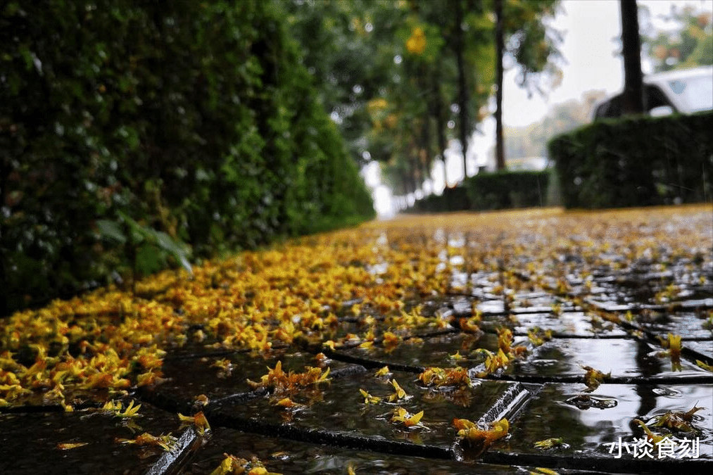 七月初四立秋，老人说：今年立秋不一般，有3个特点，和往年不同