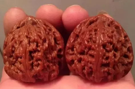 最硬的手串，不仅好看还能防身！你猜是啥？