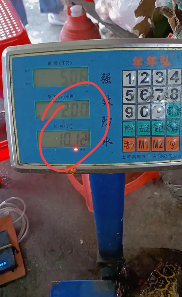 吉林“斑鳜王”被人钓上岸转手卖了一万多，网友:全网最大卖亏了