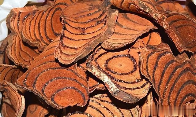 ?补骨脂搭配它，补肝肾、壮筋骨，祛瘀血，赶走骨缝里风、寒、湿