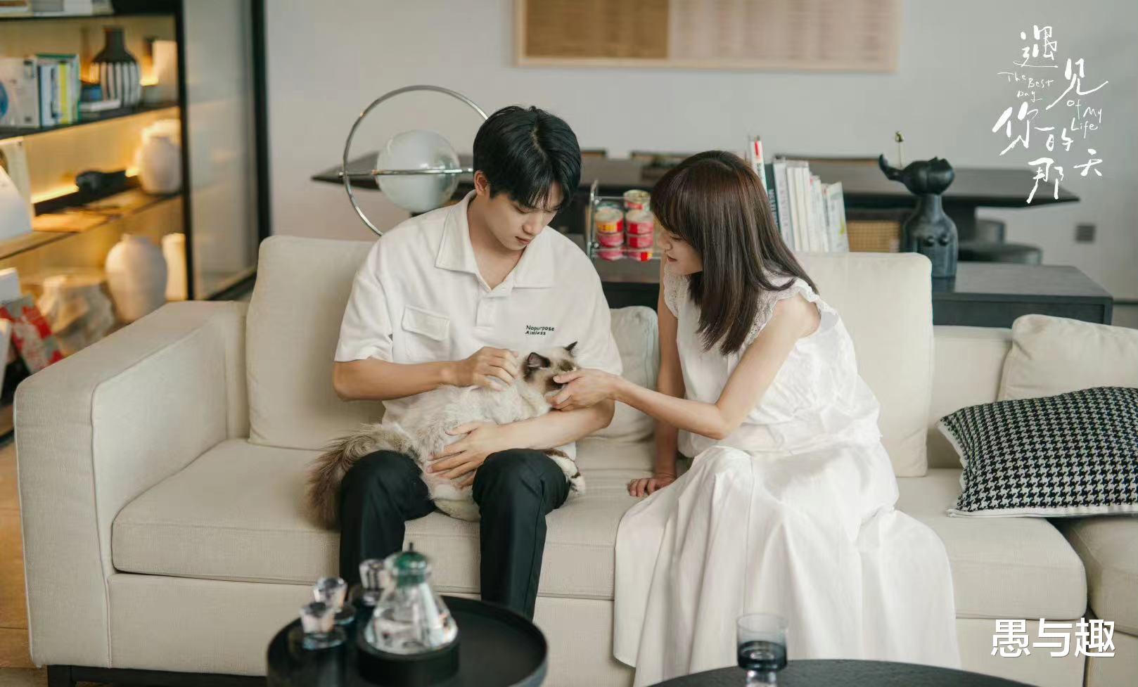 7月26日追更/定档日历，2部热剧停更，3部新剧定档，8部新剧待播