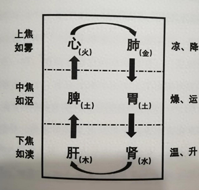 先小柴胡，再补中益气丸，双管齐下，专攻三焦不通！