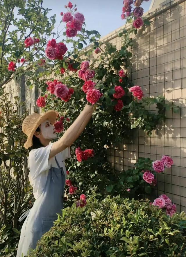 张馨予的豪宅曝光，无数人直呼羡慕: 花海美不胜收，菜园圈粉百万