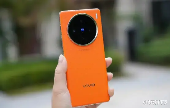 vivo手机别乱买，如今公认“口碑最佳”的四款旗舰，入手没毛病！