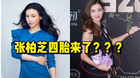 张柏芝:第四胎来袭?神秘孕事引发娱乐圈大猜想!