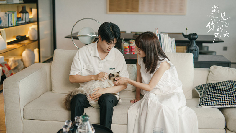 《遇见你的那天》首播，张炯敏姜之南主演，职场甜宠剧，质量较高