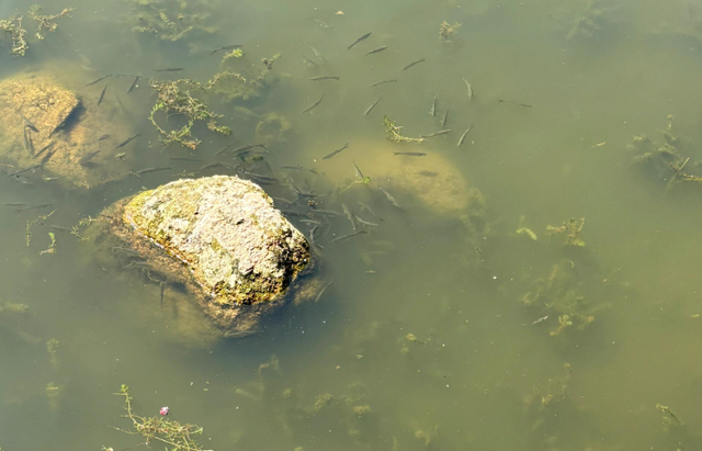 夏钓潭 ,这个“潭”到底是几米?这篇文章明确告诉你