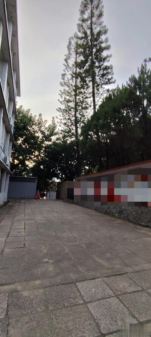 陈乔恩和老公最长视频800分钟