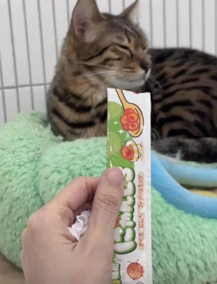 高露隐婚儿女双全，跟15岁女儿同台演出《六姊妹》，女儿演技惊人