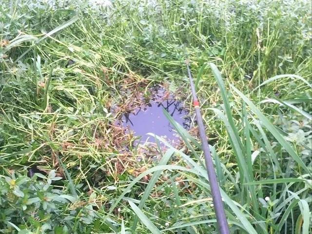 传统钓落伍钓不到鱼？错！学会这六个经验，从此钓鱼只带一根竿