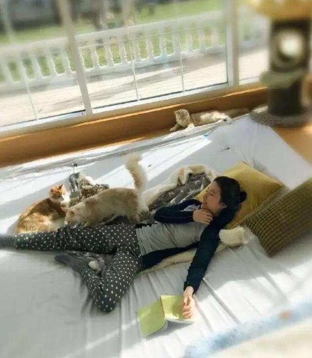 刘亦菲明明是普通长相,却为何被推上神坛?网友一句话道出真相