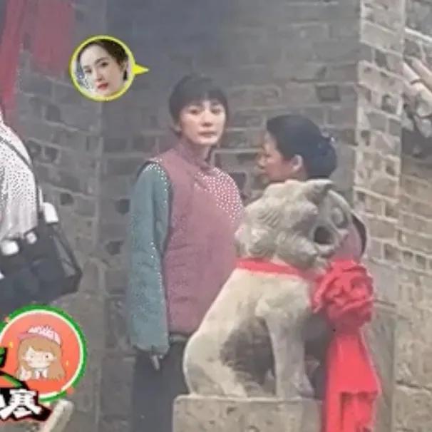 搞大富婆肚子的男星，陈晓陈妍希，刘亦菲，杨幂，刘诗诗，张杰