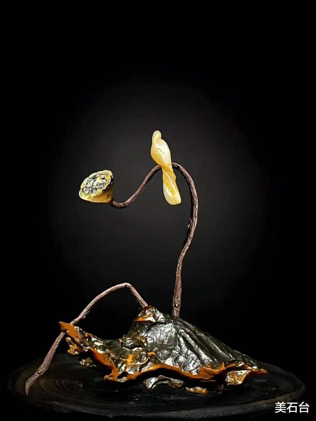 看准一块石头，需要20年的沉睡