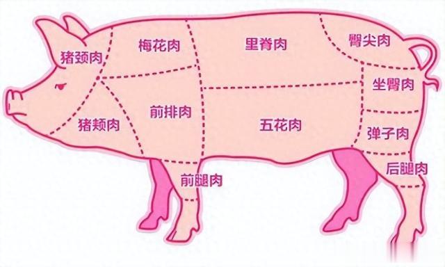 猪身上最好吃的肉排行，后腿肉排第五，梅头肉排第二，建议了解
