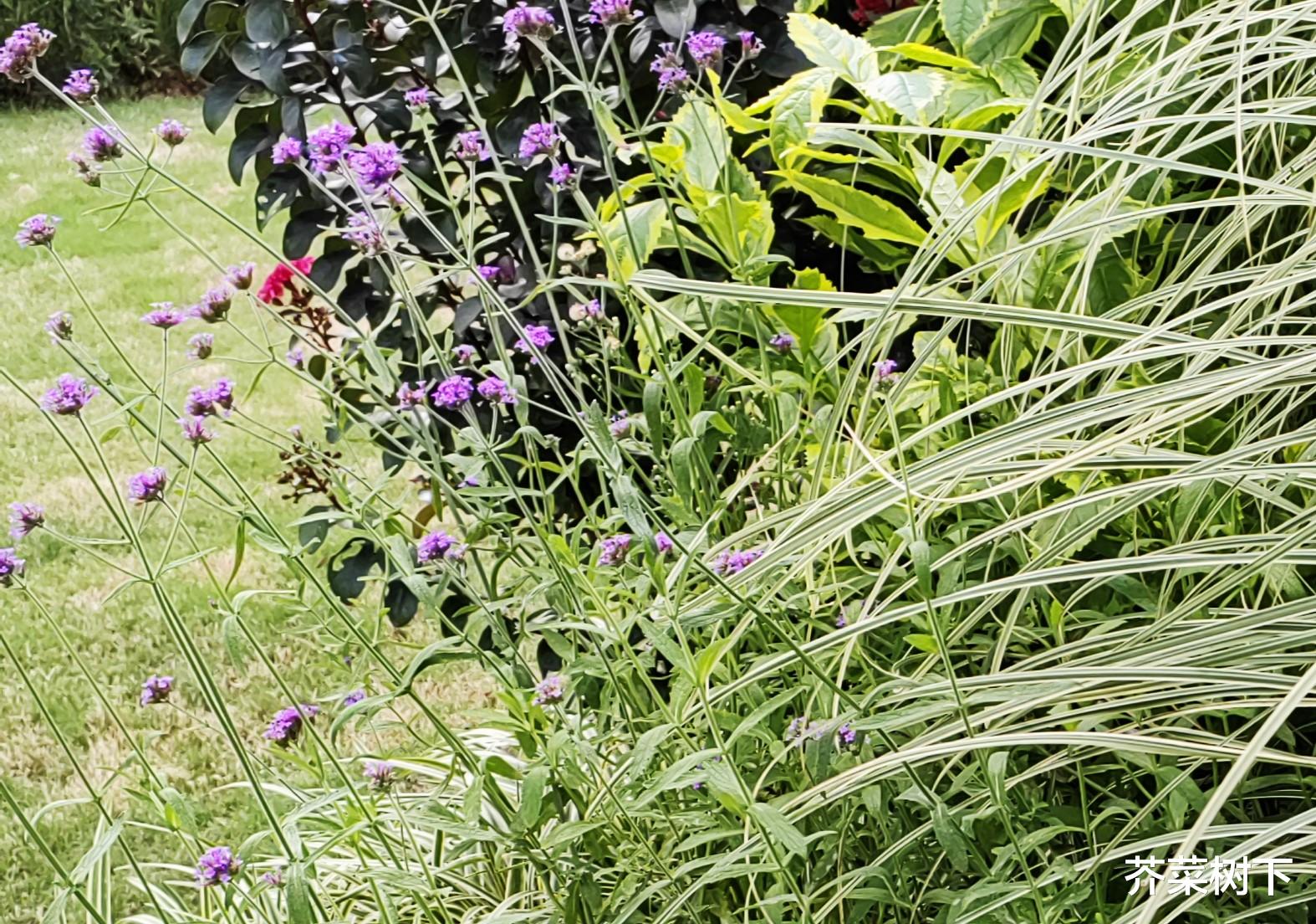 人在职场：团队的惯性，怎么破？（上）