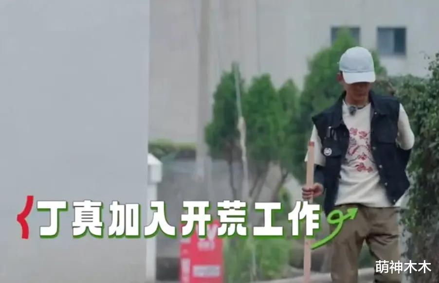 丁真上综艺被欺负！明星嘉宾抱团哄他多干活，面对镜头毫不掩饰