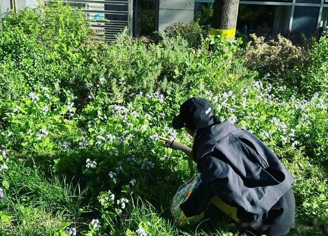 新疆维吾尔族的穆凯代斯，那种明媚大方、娇艳的美真的特别好看