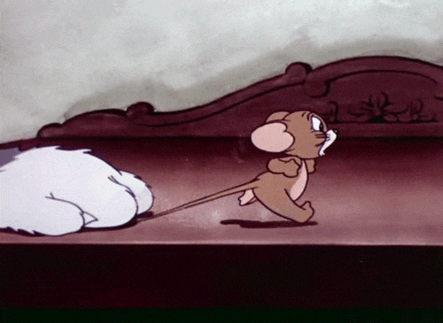 1200w美元销量，国外爆火的中国草药，强效增肌/恢复/抗疲劳