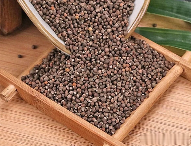 这个香料是鱼腥味的天敌，炖鱼时加3克，鱼肉鲜嫩还没一点腥味