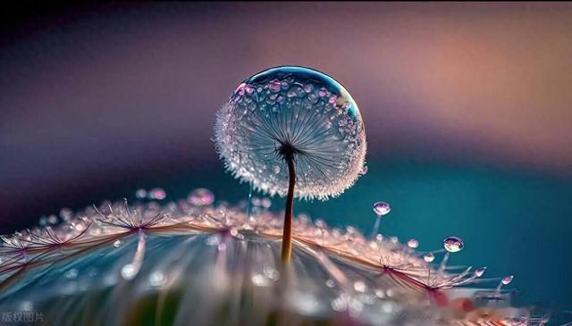 中伏炽热来袭,四大星座运势飙升,情绪稳赢,职场情场双丰收