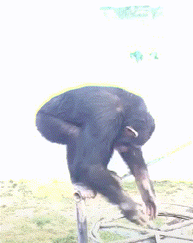 窦靖童要把王菲愁死了！剪莫西干发型秒变三毛，穿红绿撞色衣出行