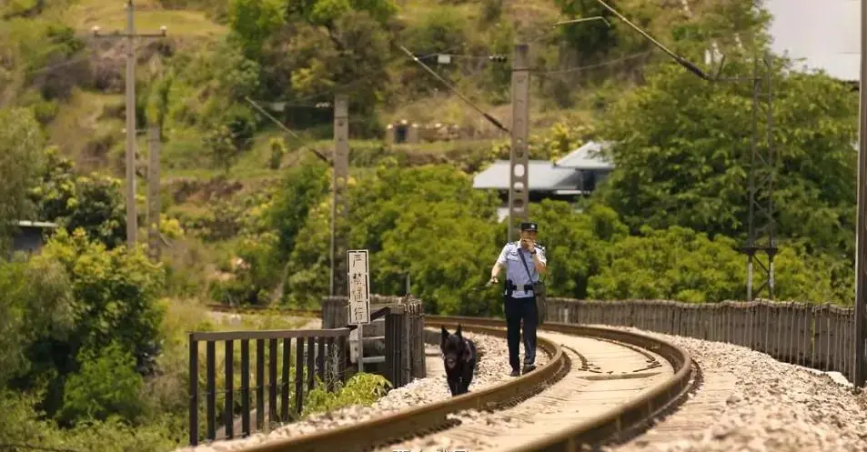 今晚首播！央视33集公安剧来袭，开年大剧出场，我要说：这剧能爆