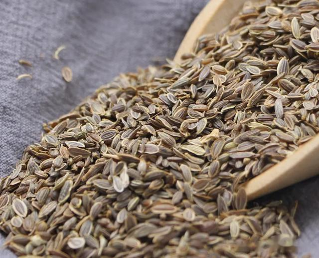 卤肥肠的“克星”,关键是这4种香料,肥肠肉嫩不臭,鲜嫩有嚼劲