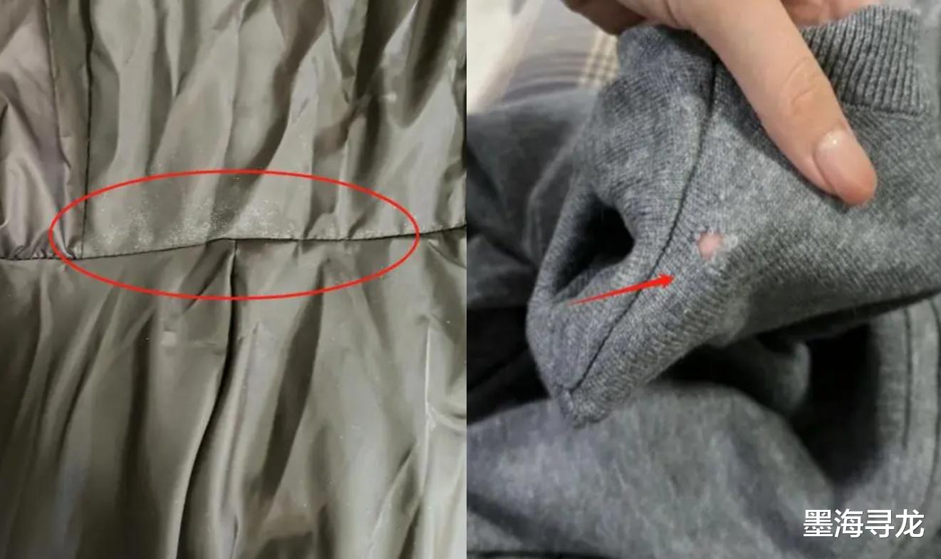 白敬亭贪财无底线，官宣代言rh品牌惹众怒，为割韭菜创立劣质潮牌