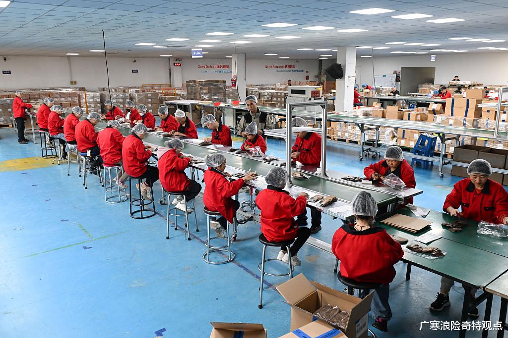 揭秘：今年1179万毕业生就业难？学生：怪不了我，大学教的，根本没用。