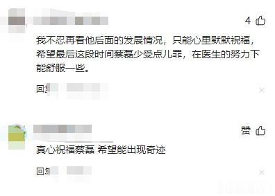 京東前總裁蔡磊“放棄治病”？妻子哭訴：錢掙夠了，有啥用？