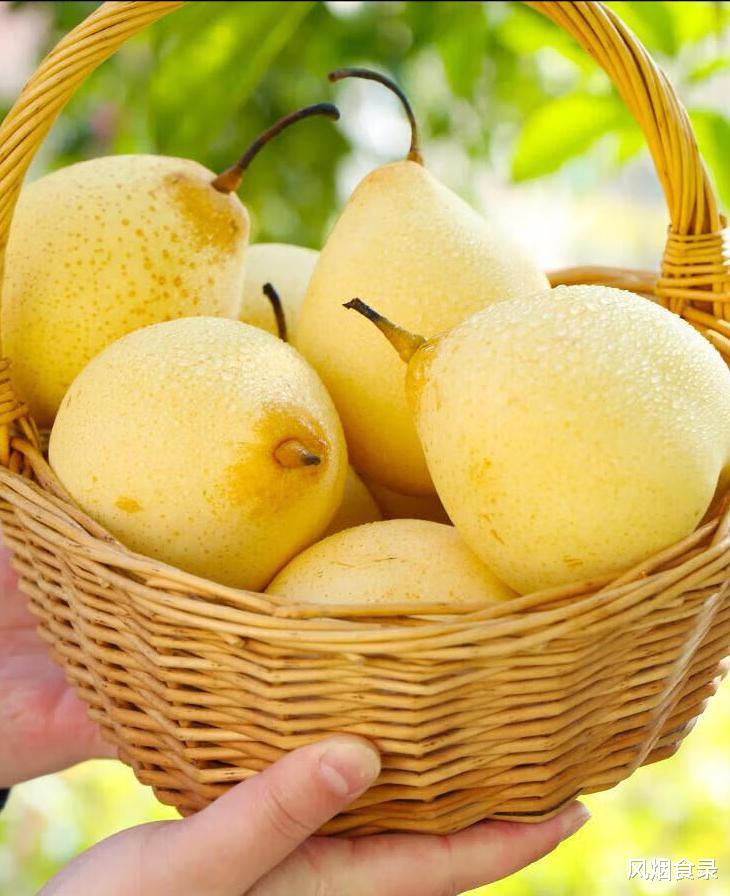 全国,哪的“梨”最好吃?经过评选,这10个地方上榜,有你家乡吗