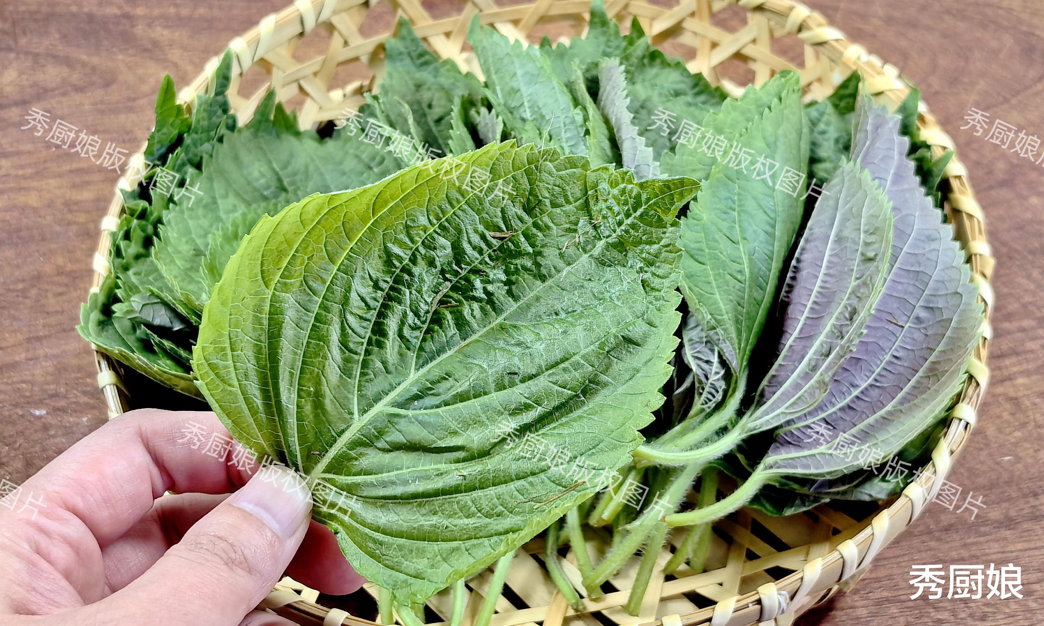 一养肝，二护眼，三祛湿，四通便，5月这菜正当季，错过真可惜！