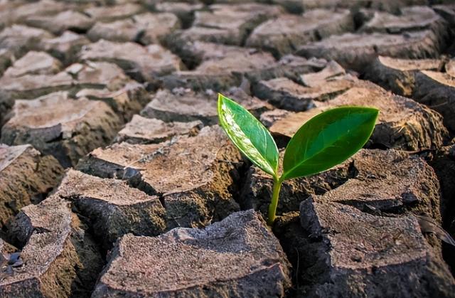 口干口渴，不单是上火，还可能是阴虚，甚至是阳虚！中医一文讲清
