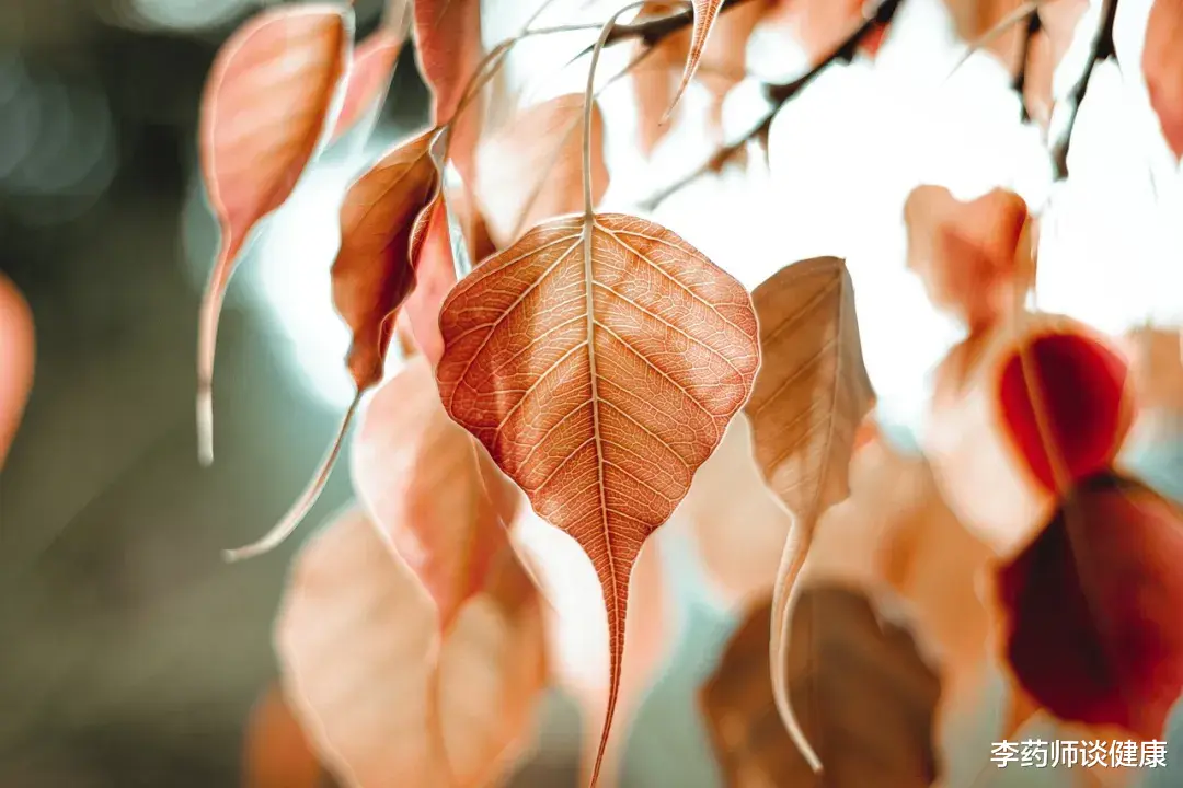 今日出伏，“凶险”的30天来了！中老年人做好5件事，健康过秋