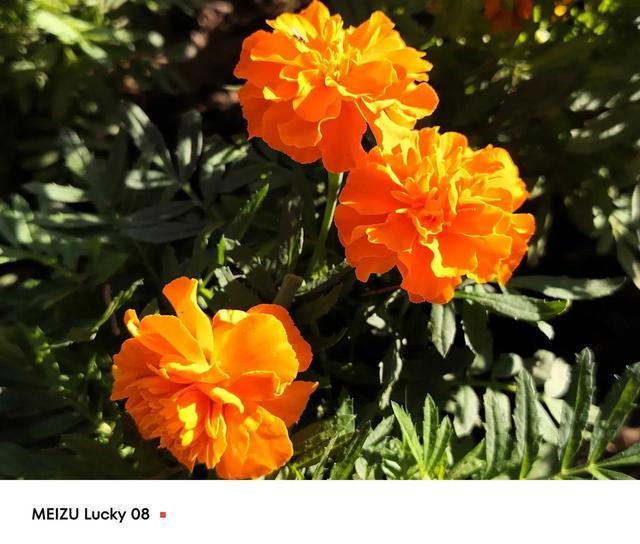 满电能用16小时!魅族新机杀疯了,一亿像素+6000mAh电池只要1599