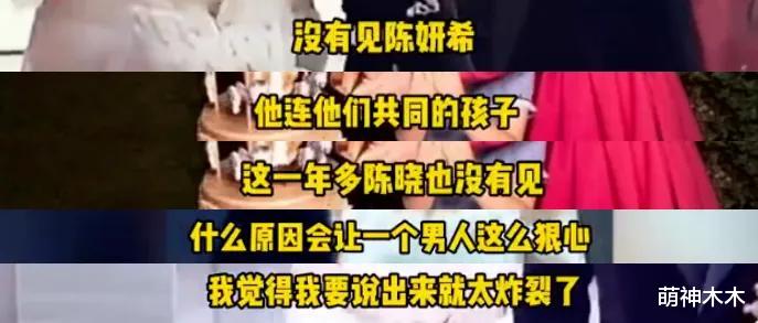 卓伟曝陈晓婚变原因炸裂,孩子遭恶意猜测,网友痛批男方没责任感