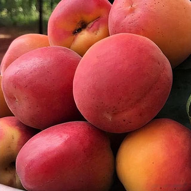 我，山东人，对遥远的吉林有8大疑问，在家想了3天，实在没想明白