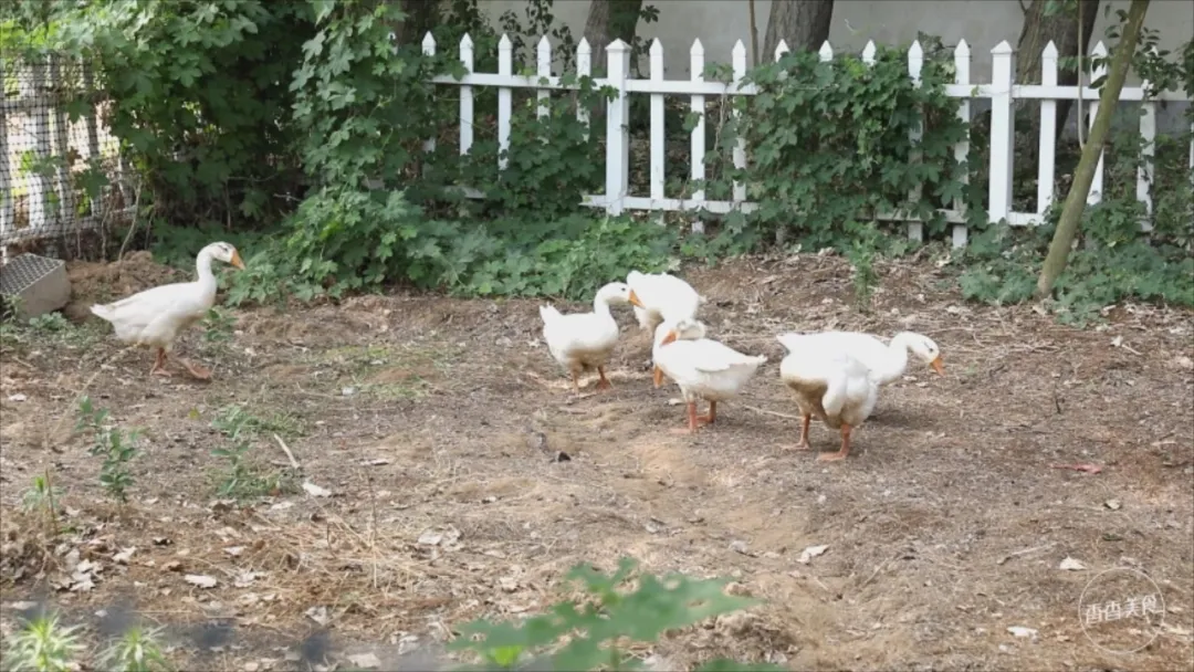 车程只要半个小时,就能美食相伴、策马奔腾潇潇洒洒?