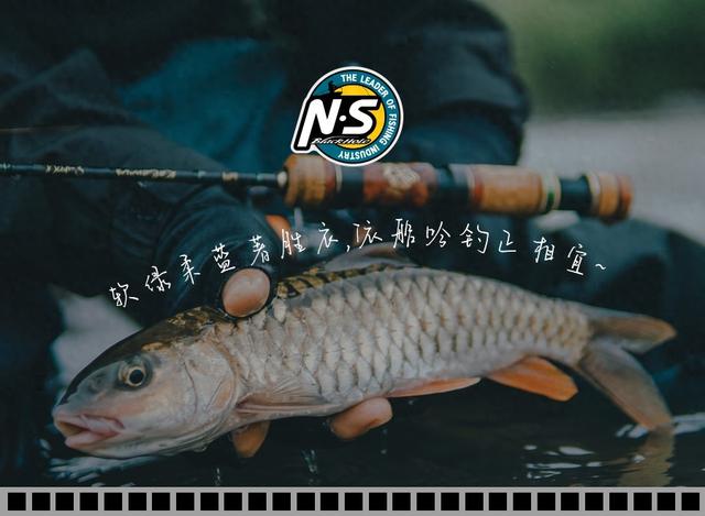 NS｜四月万物生 春钓正当时·胜衣