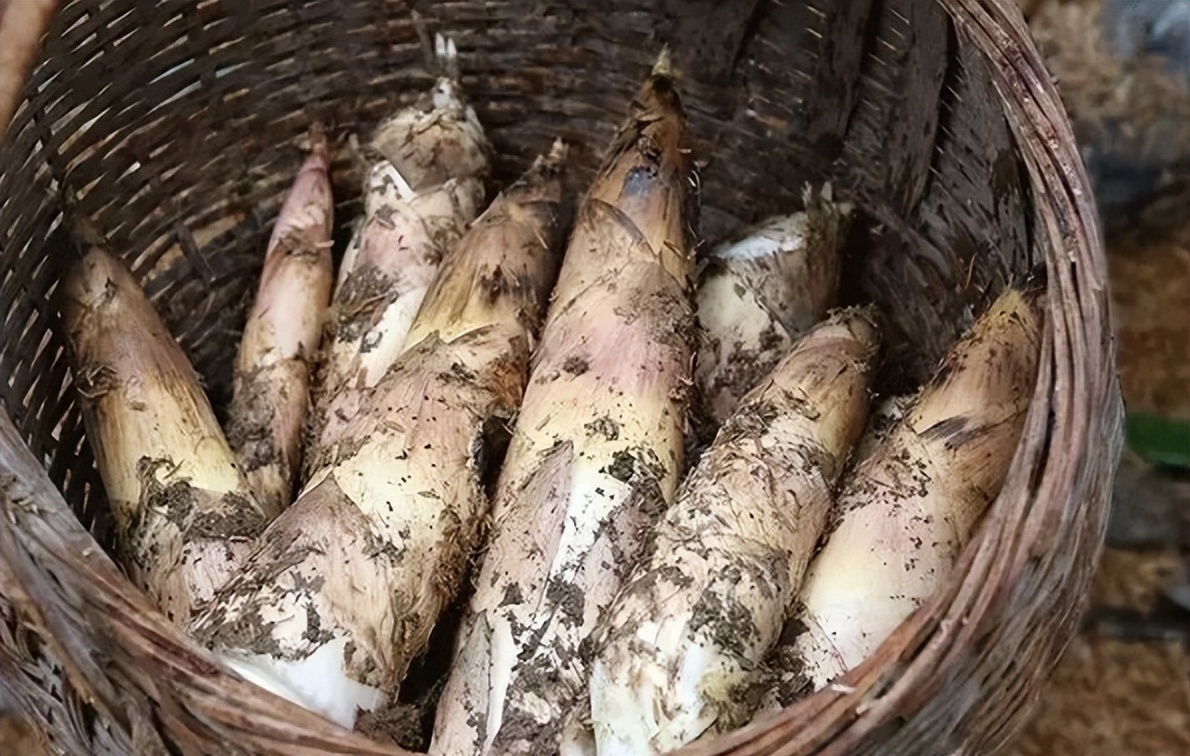 3月，吃香椿不如多吃它，鲜嫩可口，缓解失眠，营养满满真香！