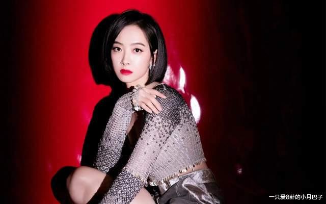 2024乘风破浪的姐姐最新名单出炉咯,有没有你喜欢的?