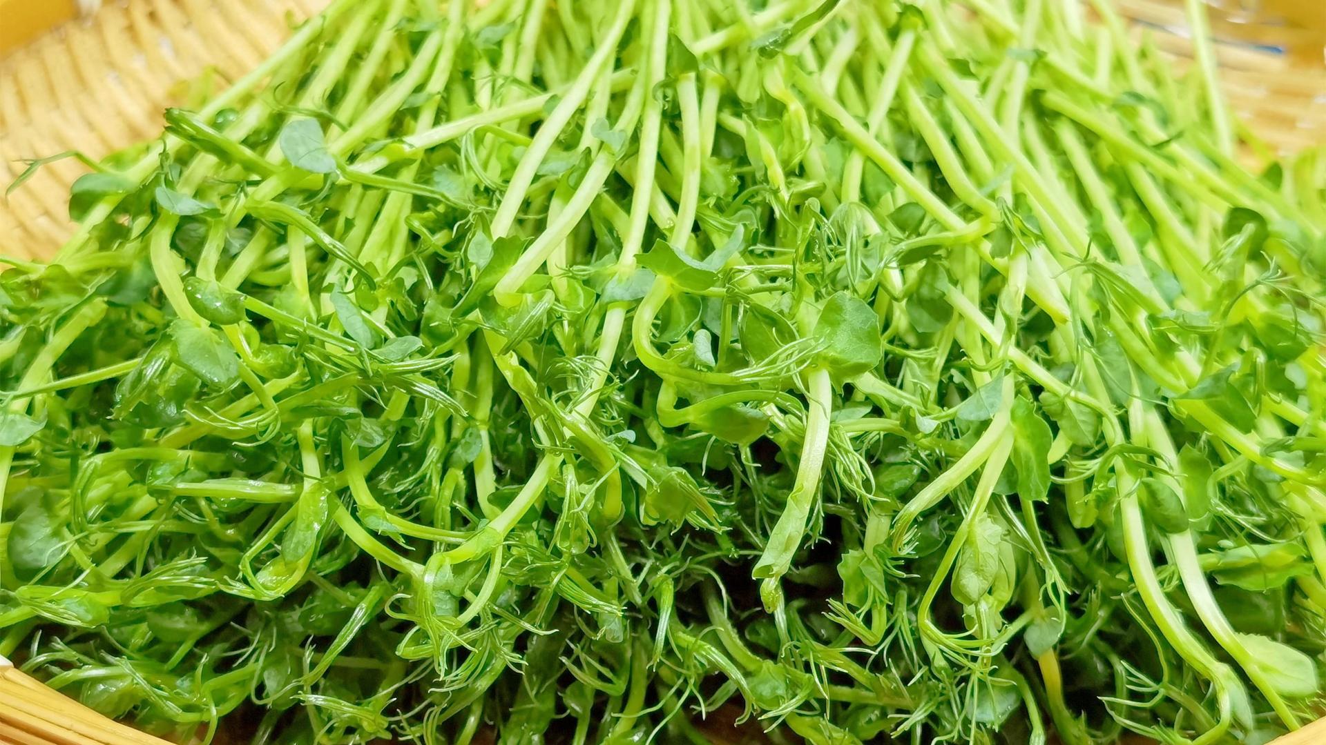 明明是超级蔬菜，却很少人知道！春天不吃亏大发，鲜嫩营养又好吃