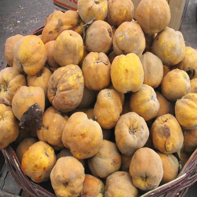 活在70后80后记忆里的十种水果，现在却鲜有人问津！你吃过几种？