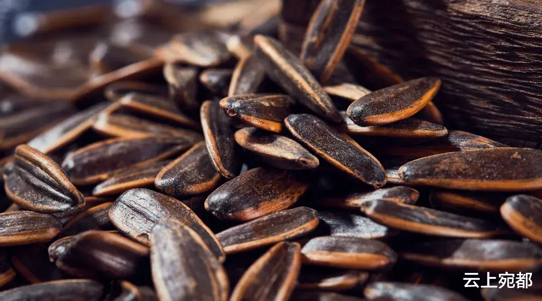 减肥不能碰“瓜子”？坦白说：若不想腰上长肉，最好忌口6种主食